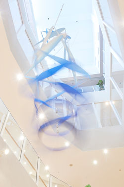 "Catch the Windward"