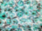 Digitally Altered Flowers