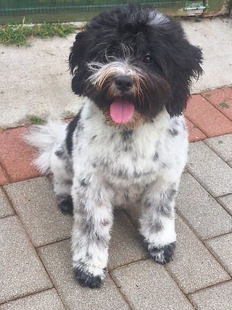 WhatsApp Image 2025-09-21 at 17.04.35.jpeg