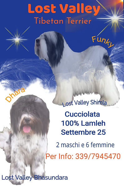 cucciolata settembre 25