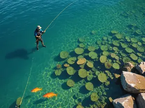 Ultimate Dominican Republic Fishing Guide