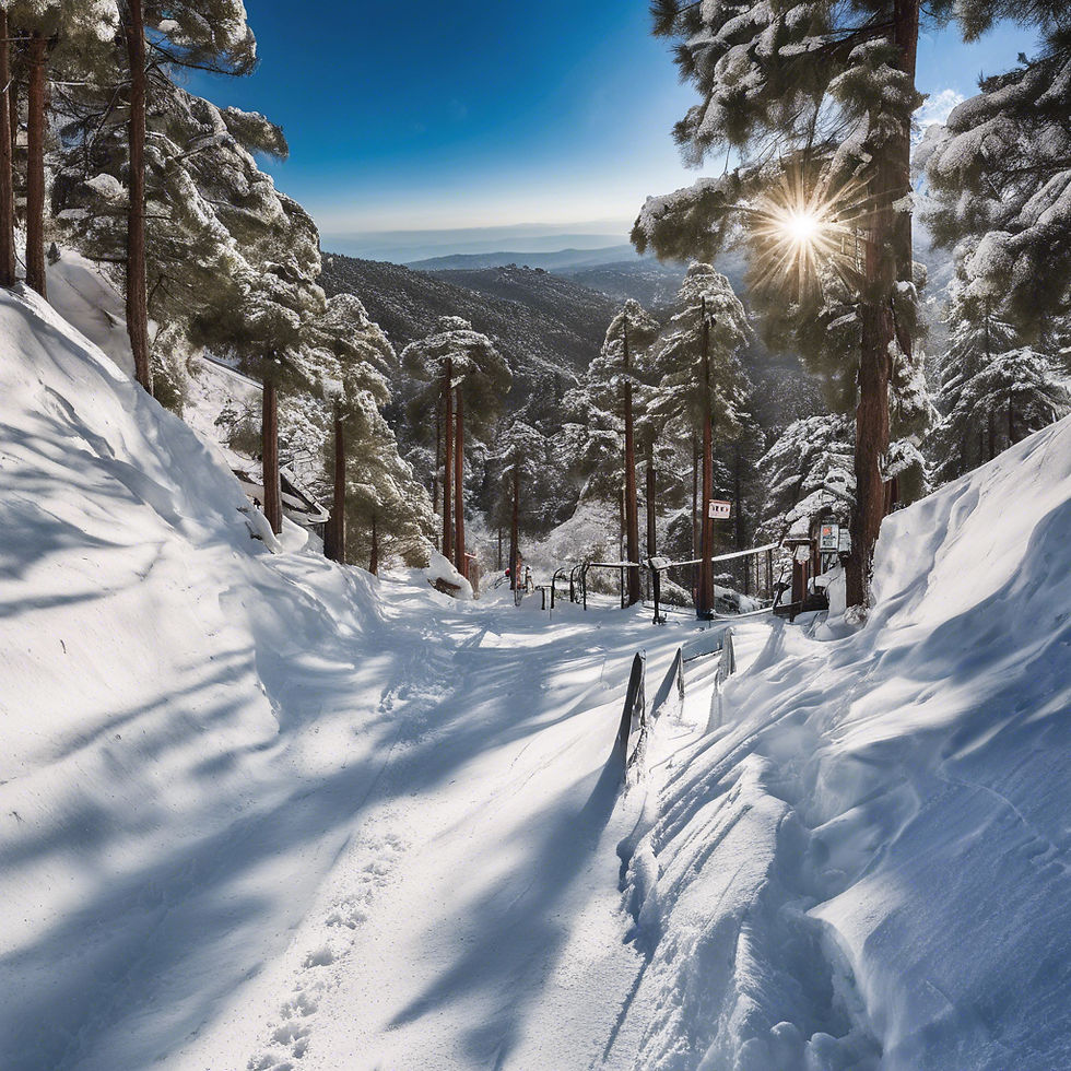 Troodos Ski Resort,Cyprus: