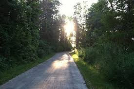 Haunted Pine Lake Road