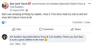 ah-saddles-facebook-review-009.JPG