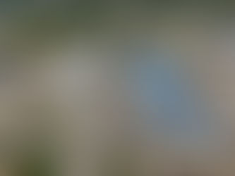 IC ISD Board April 14 2026