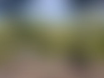 Mertzon City Council April 27 2026