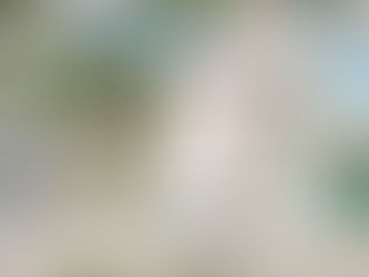 Superintendent interviews...