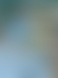 IC ISD Board April 27 2026