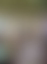 Mertzon City Council October 20 2025