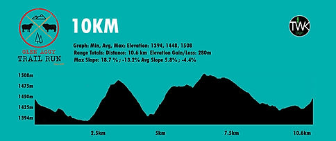 10 km elevation online entries 2023.jpg