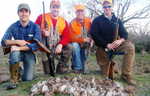 Bobwhite Quail Shoot (Add-On)