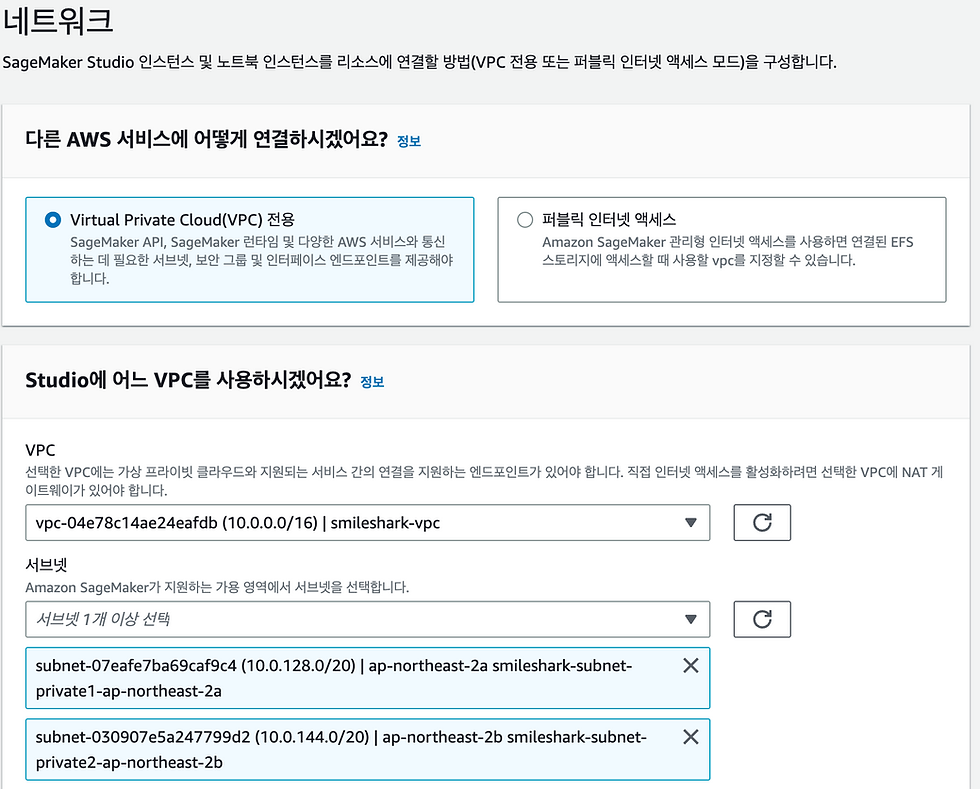 네트워크를 인터넷 액세스가 아닌 VPC 전용으로 선택