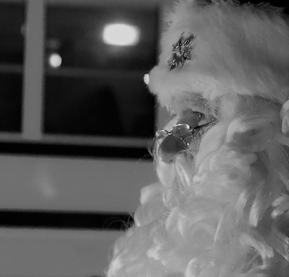Santa Claus in black and white