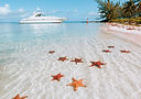 starfish-point (1)_edited.jpg