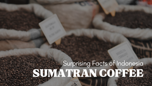 One of The Best Coffee Beans Comes From Sumatra