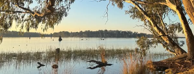 Screenshot 2025-07-15 153641.png