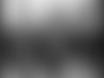 The Weight of Memory: Why We Preserve the Past