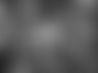 Authentic Leadership: Championing for the Team