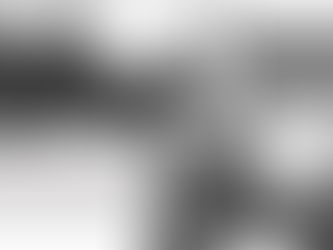 Learning Leadership: Observing and Analyzing the Enemy’s Behavior