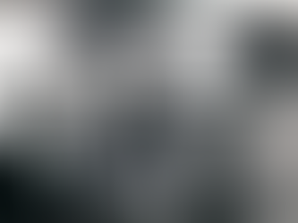 A Patriotic Publishing Partnership