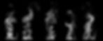 Steam on black background.jpg