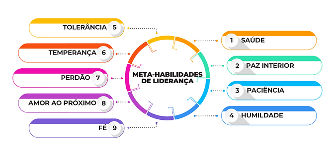 Meta Habilidades de Liderança.png
