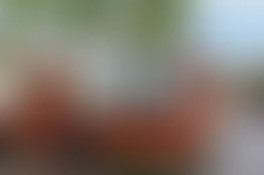 Berkeley Rent Control: Who is Exempt?