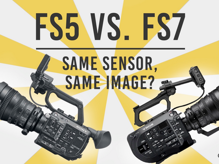FS5 vs FS7 Shootout: Same Sensor, Same Image?