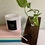 Thumbnail: Desktop Propagation / Vase