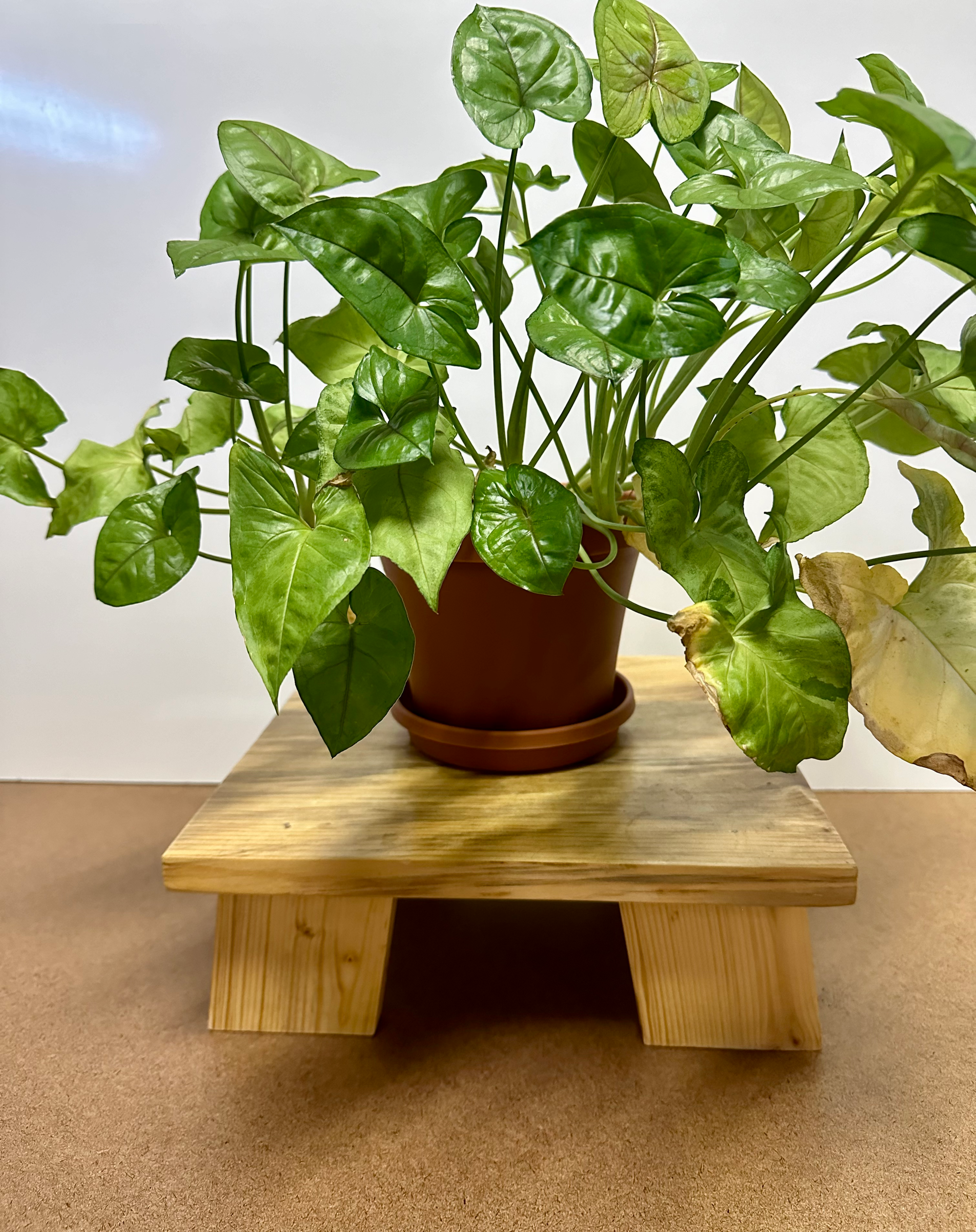 Medium Plant Stand 