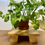 Thumbnail: Medium Plant Stand 