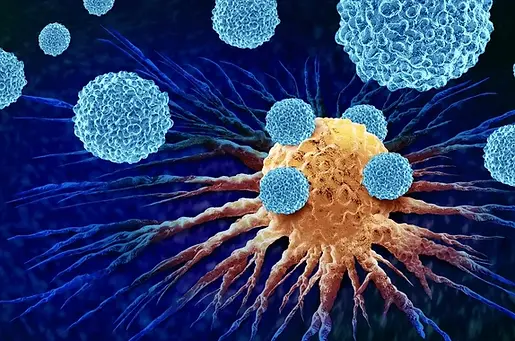 leukocytes-attacking-cancer-cell-oncology-600nw-2270042101.webp