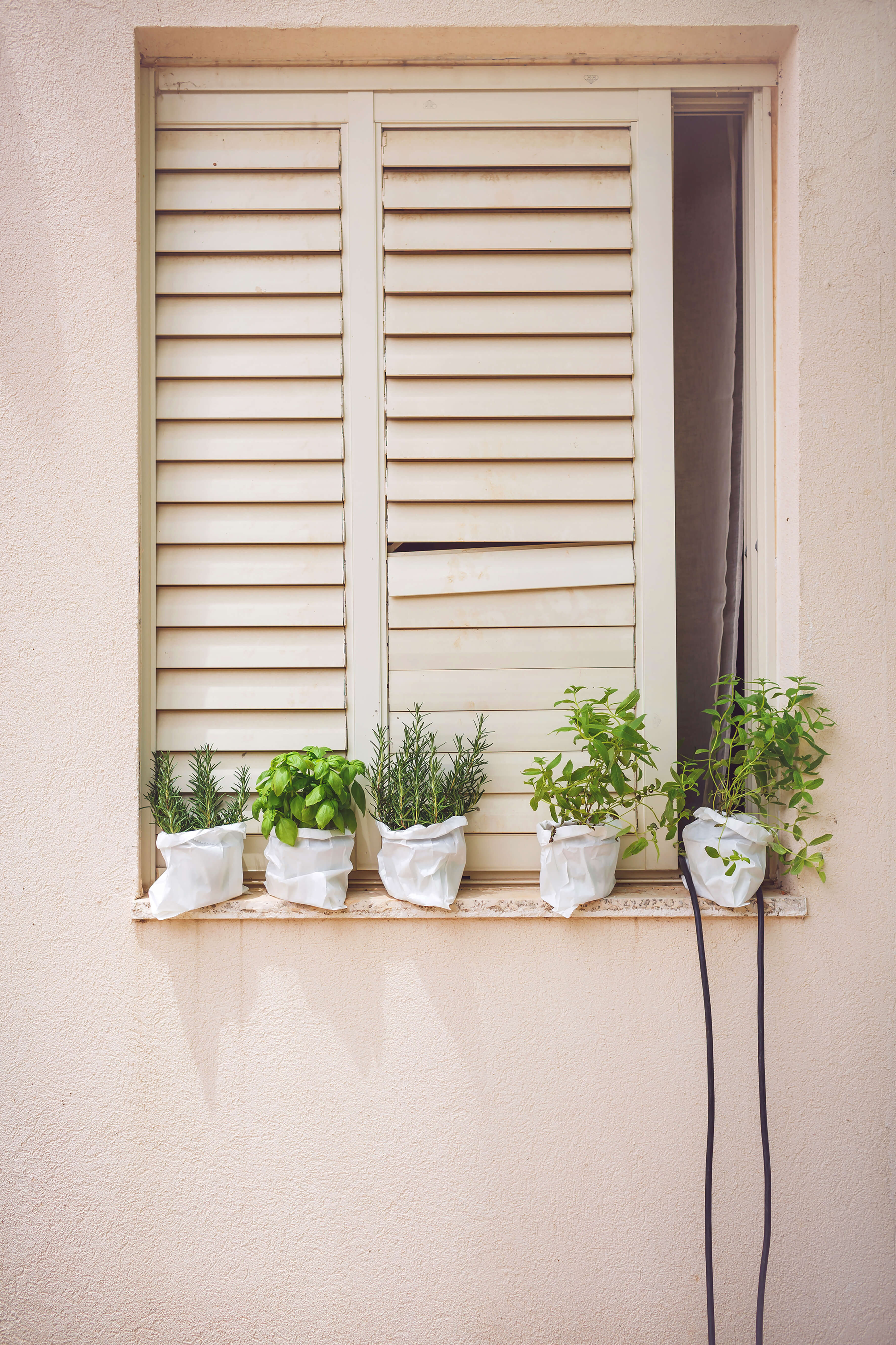 צילום מספר 20