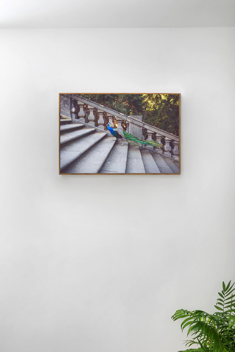 תמונה ממוזערת: צילום מספר 34 עם מסגרת