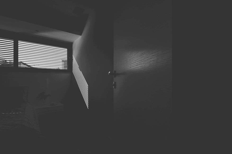 צילום מספר 17 