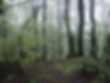 CAM00036.jpg