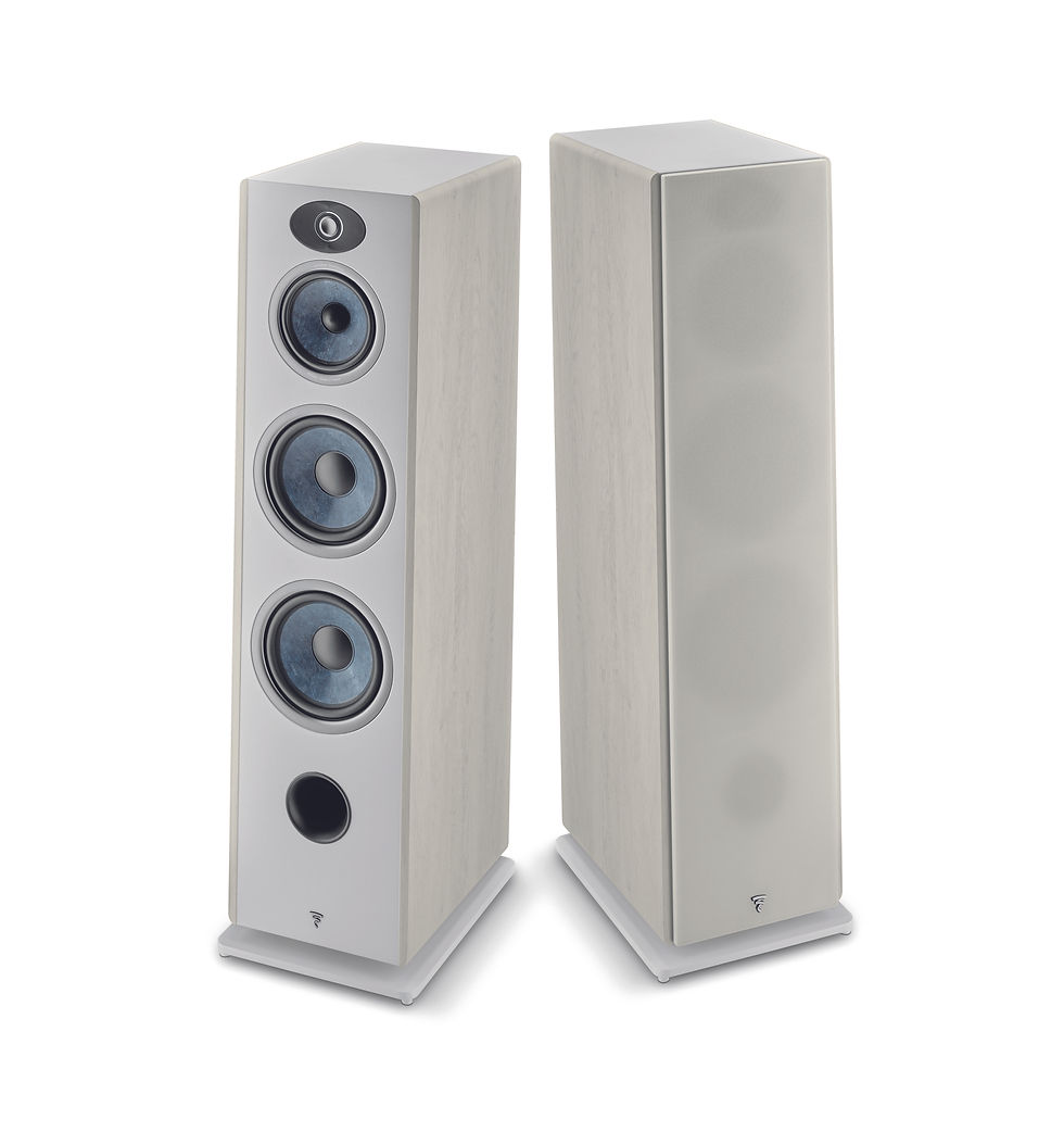 Miniature : Focal Vestia N4