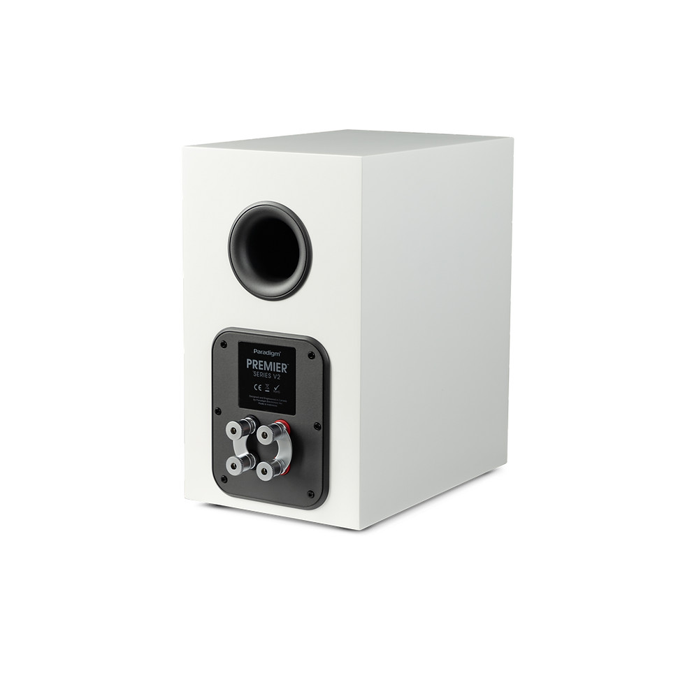 Thumbnail: Paradigm Premier 120B v2