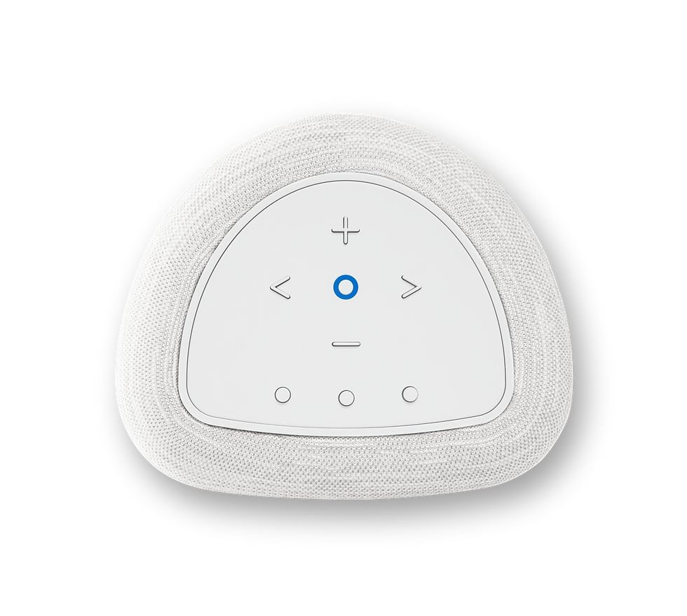 Miniature : Bluesound Pulse Flex (P130)