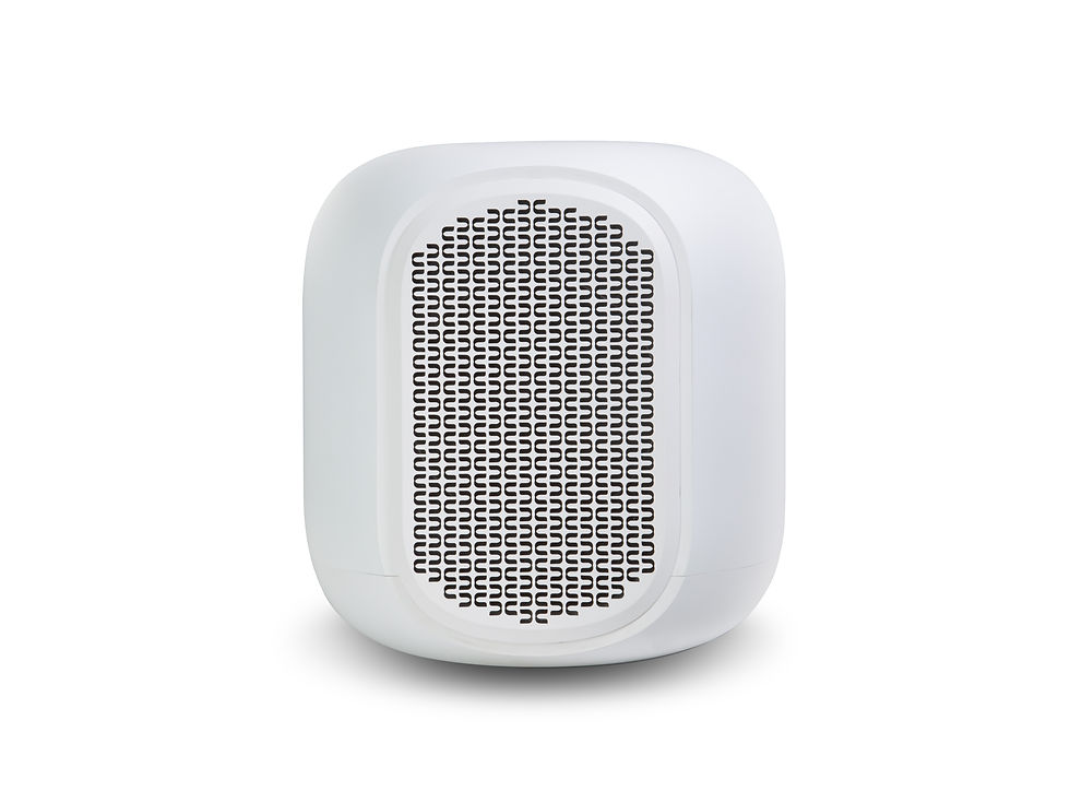 Miniature : Bluesound Pulse Sub
