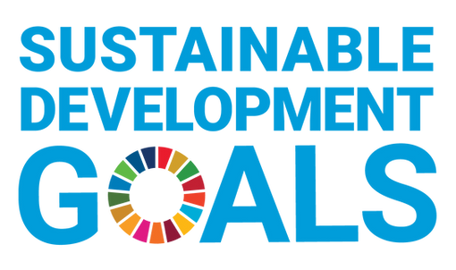 E_SDG_logo_without_UN_emblem_Square_Transparent_WEB.png.png