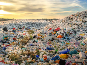 Fifth Session of the Intergovernmental Negotiating Committee on Plastic Pollution (INC-5)