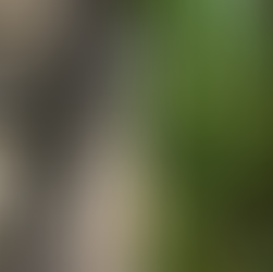 Shilajit and Humic-Fulvic Acid – What You Need to Know