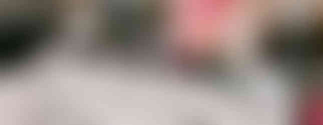 Hereward Farms Lavender Lounge + Boutique