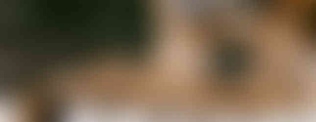 Hereward Farms Lavender Lounge + Boutique