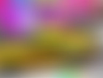 Unikátní dražba aut