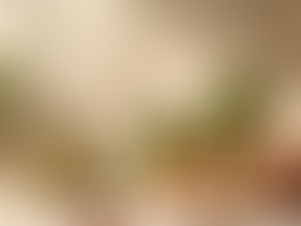 Global Expansion: MTC FOODS Launching New Product Lines