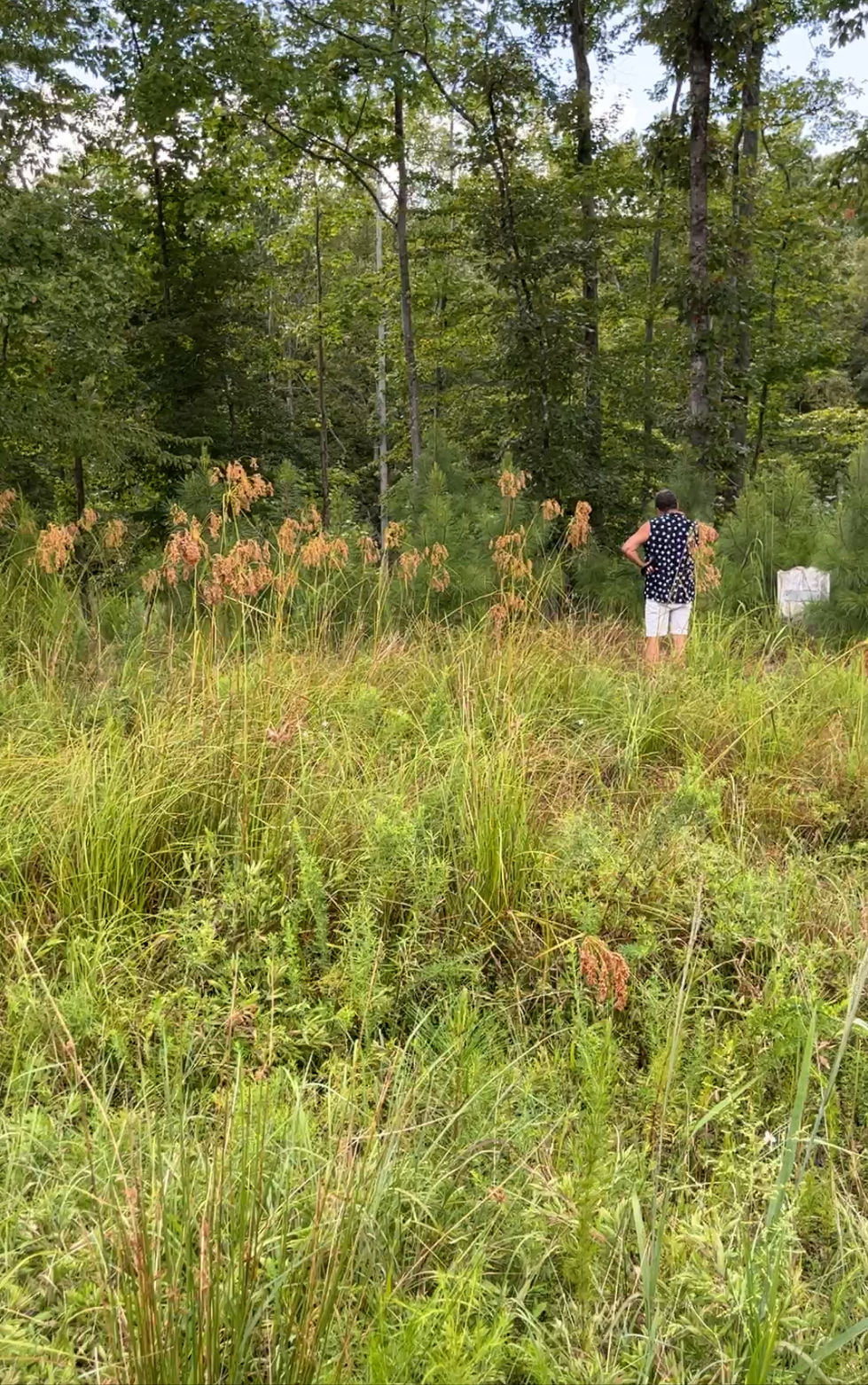 Oak Grove Baby Cemetery