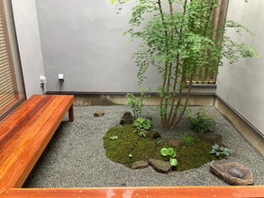 長谷の山を見る家、そして坪庭