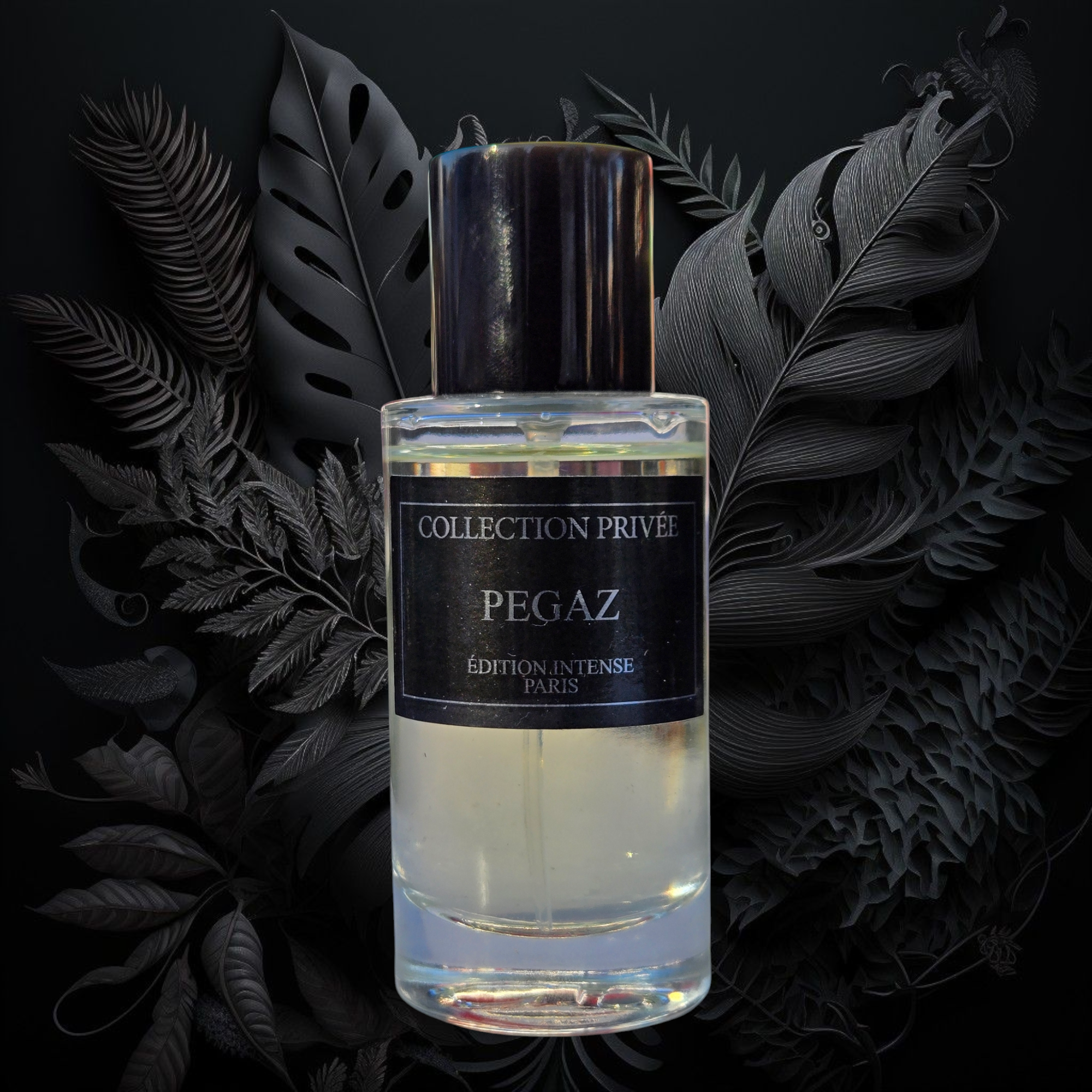 COLLECTION PRIVEE Pegaz